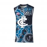 Camiseta Carlton Blues AFL 2022 Indigena