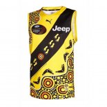 Camiseta Richmond Tigers AFL 2020-2021 Indigena