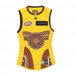 Camiseta Hawthorn Hawks AFL 2022 Indigena