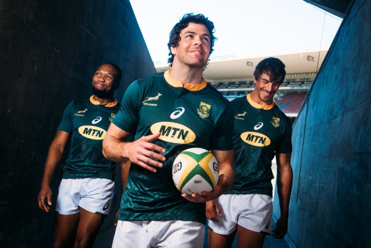 2019 sudafrica springboks rugby.jpg